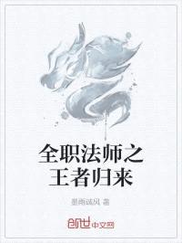 全职法师之王者归来